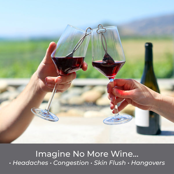 Wand By The Glass Wine Filter