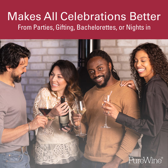The Original Wand® Wine Purifier